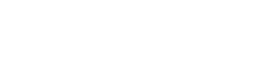 Bold ai Logo